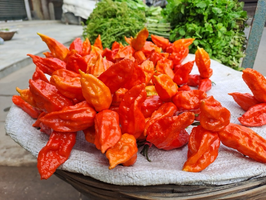 Ghost Pepper (Bhut Jolokia) pepper