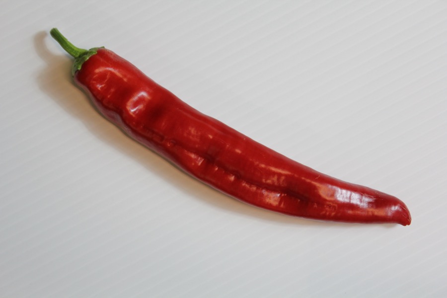 Hungarian Wax pepper