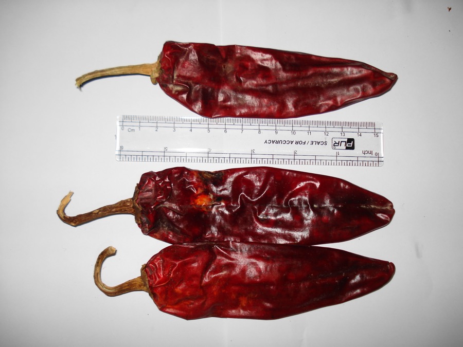 Kashmiri pepper