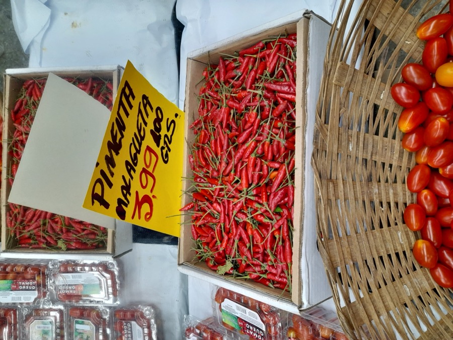 Malagueta pepper
