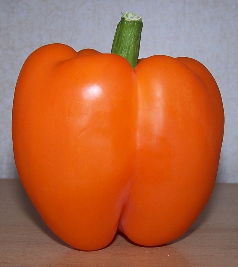 Orange Bell Pepper pepper