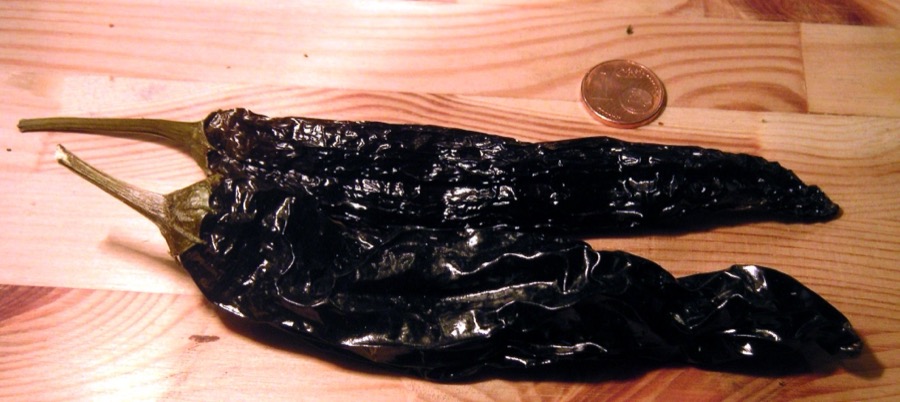 Pasilla pepper