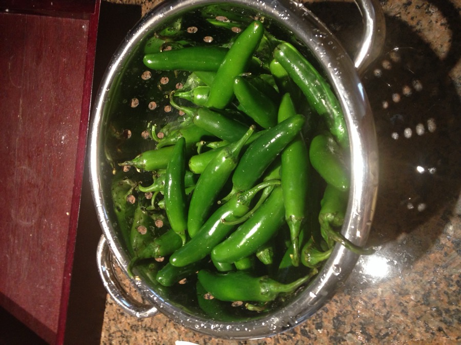 Serrano pepper