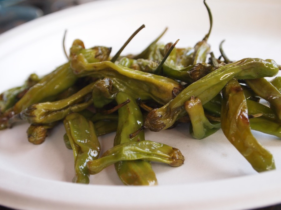 Shishito pepper